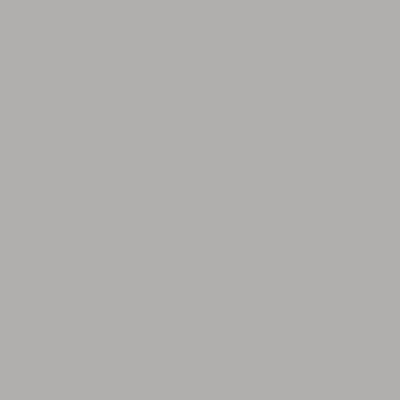 Silver Grey 222
